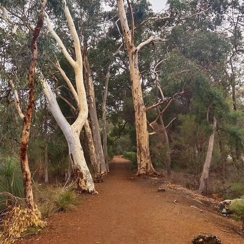 Kalamunda, Western Australia – Emma Whetnall