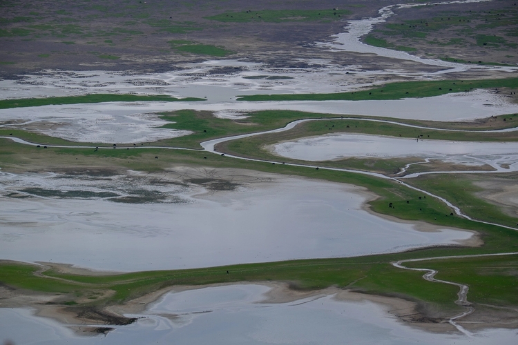 The view of the wetlands on Shangrila Pain – the black dots are grazing yaks