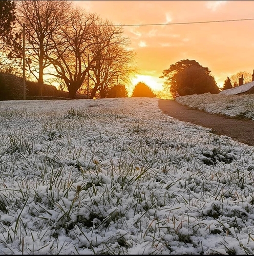 Wiltshire, England – Aine Halton-Hanley