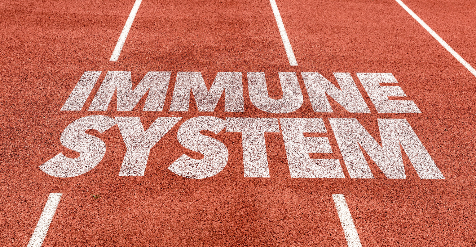Supporting Your Immune System