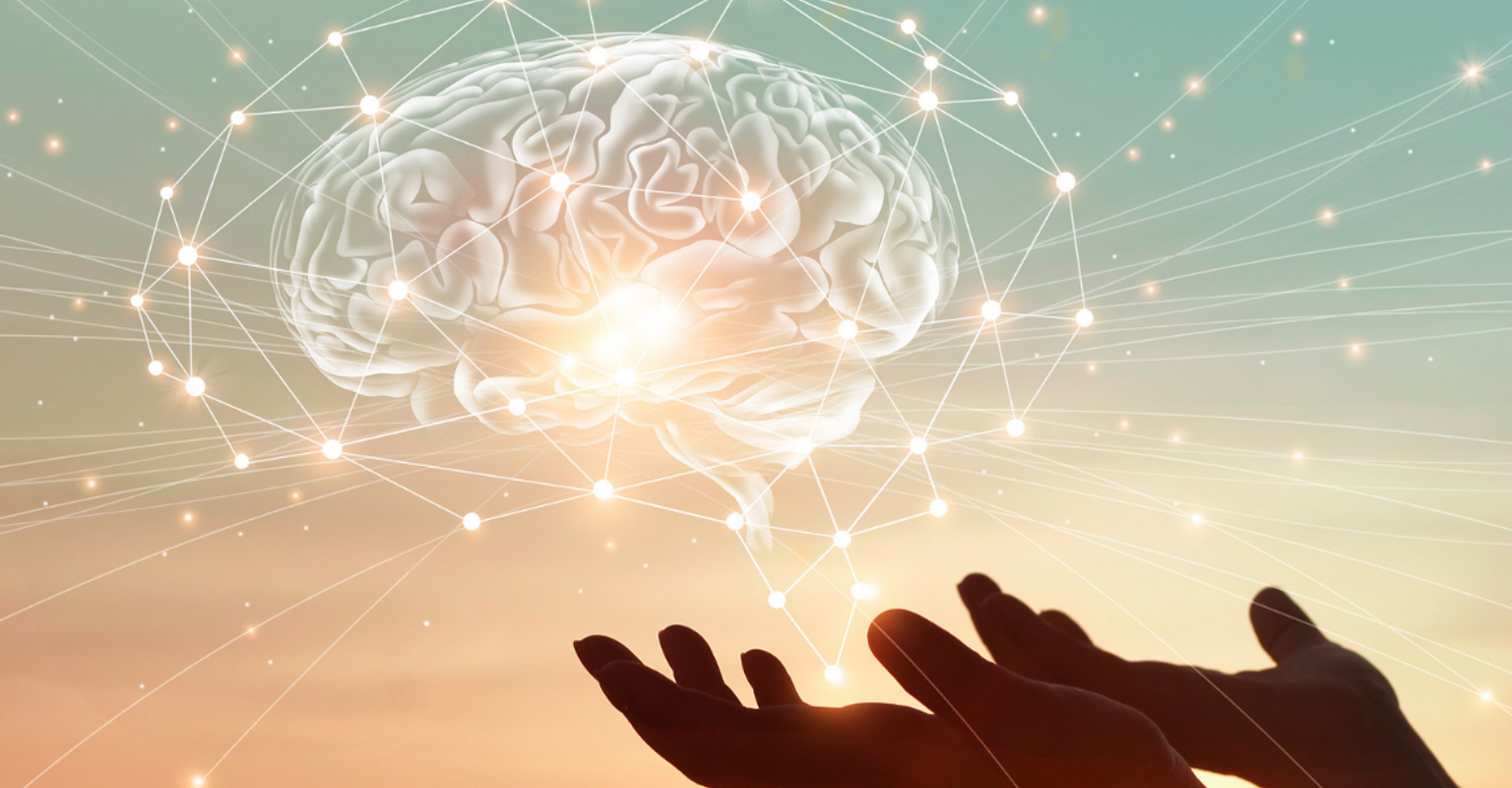 How To Improve Your Brain