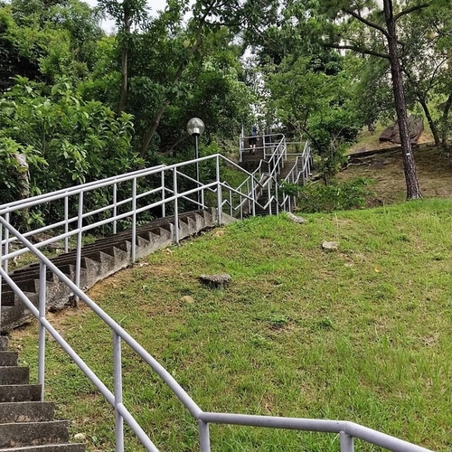 Discovery Bay, Hong Kong – Team Mindful Roadkillers