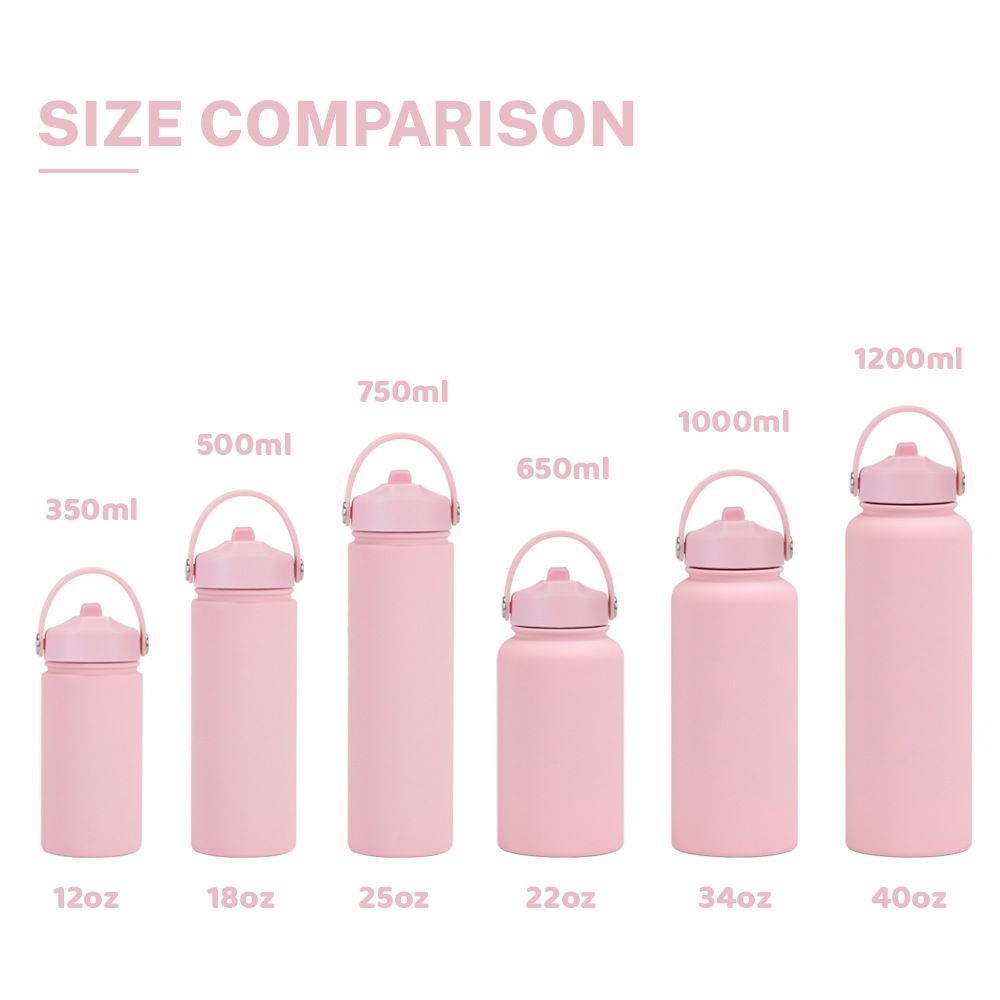 Stainless steel insulated water bottles with straw and carry handle in multiple sizes