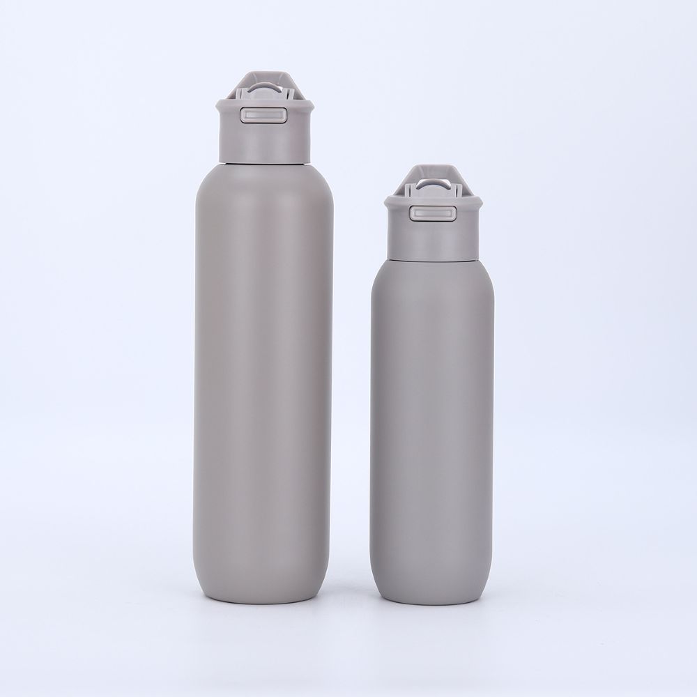 20oz Stainless Steel Flip Straw Vacuum Bottle with Handle Lid