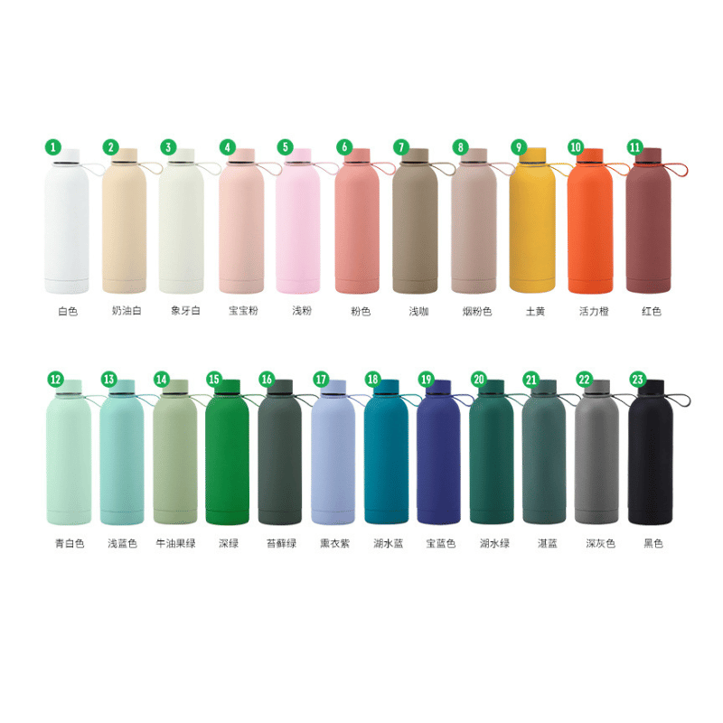 Pantone Color Options Insulated Water Bottle with Handle