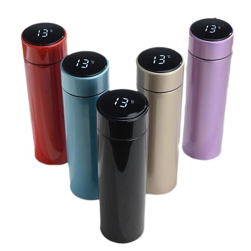 17oz Insulated Water Bottle with Temperature Display Lid