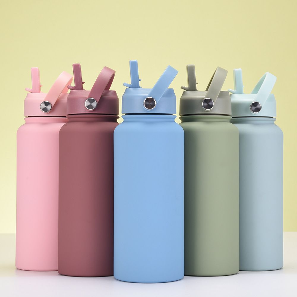 Stainless steel insulated water bottle with straw and carry handle, portable and durable