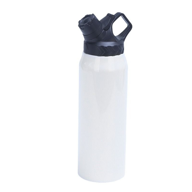 Stainless Steel Insulated Water Bottle with Straw Lid