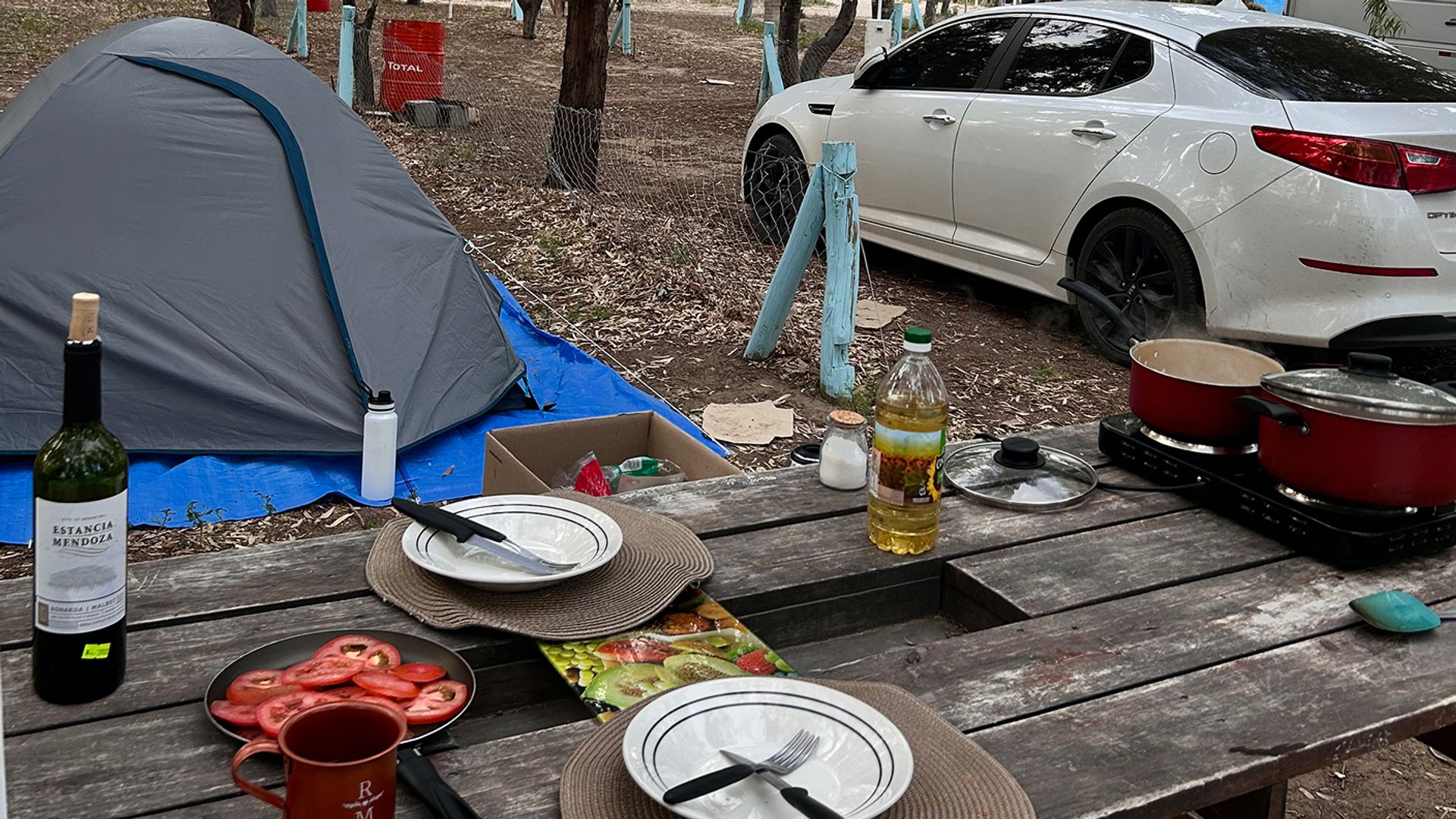 Ushuaia Sem Hotel: Como Dormimos "0800" e em Campings na Patagônia e Economizamos Mais de R$ 6 Mil