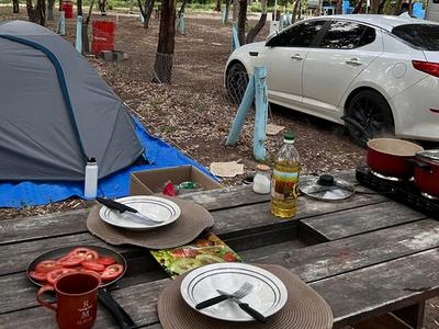 Ushuaia Sem Hotel: Como Dormimos "0800" e em Campings na Patagônia e Economizamos Mais de R$ 6 Mil