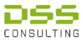 DSS Consulting