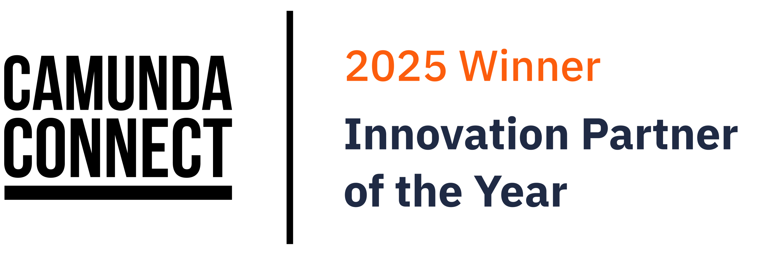 2025 innovation partner of the year