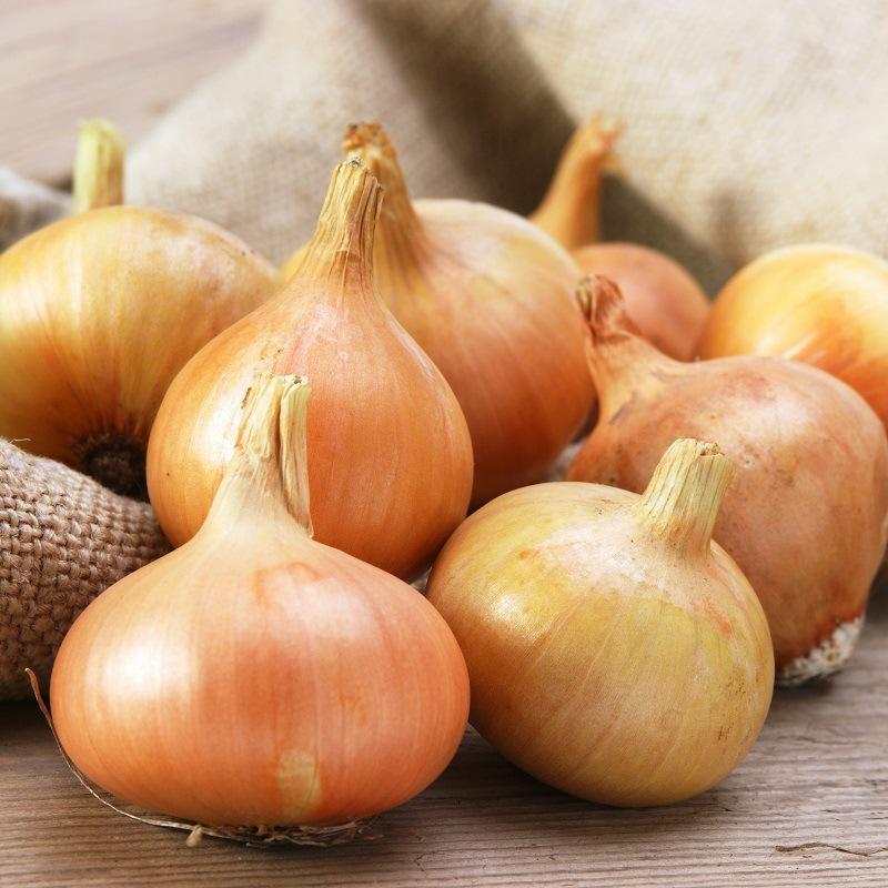 Oignons blancs ๐ฒ๐ท