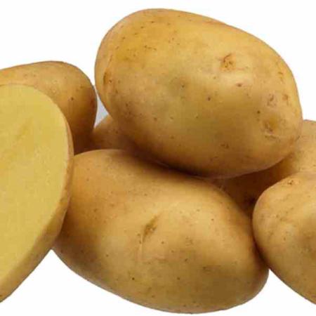 Pommes de terre ๐ฒ๐ท