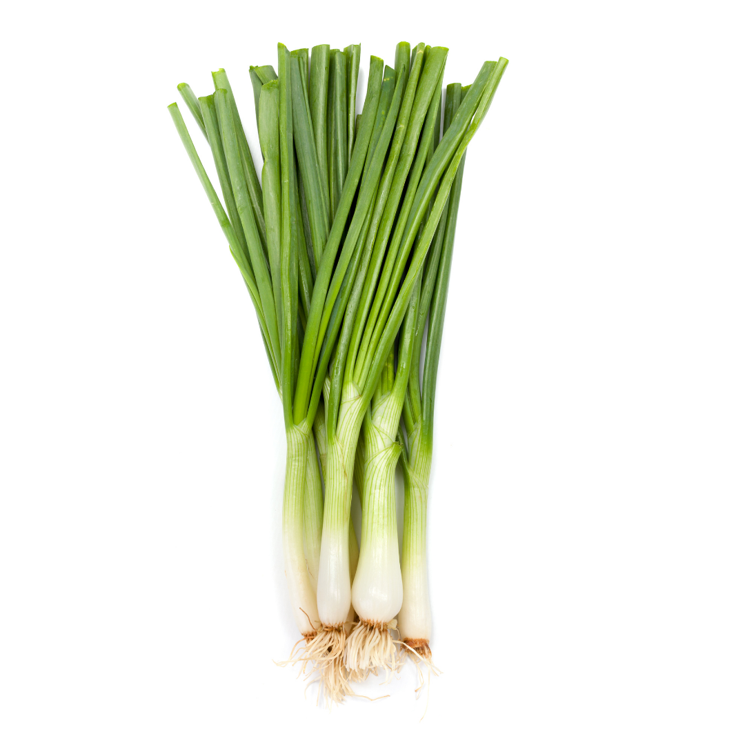 Oignons vert ๐ฒ๐ท