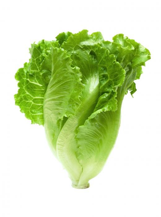 Salade ๐ฒ๐ท