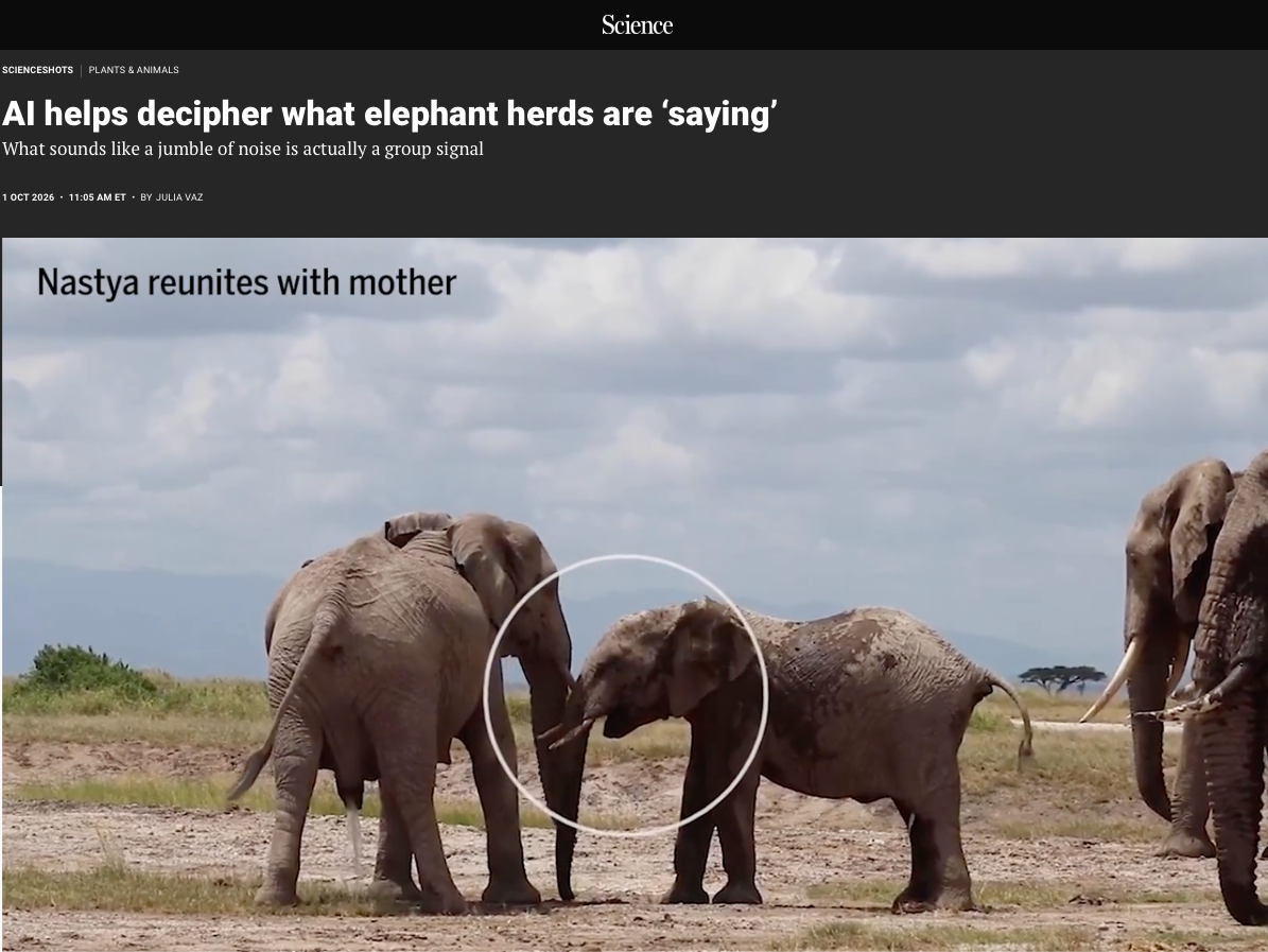 Science article about AI and elephant communication, featuring a photo of a baby elephant, highlighted by a white circle, reuniting with its mother.