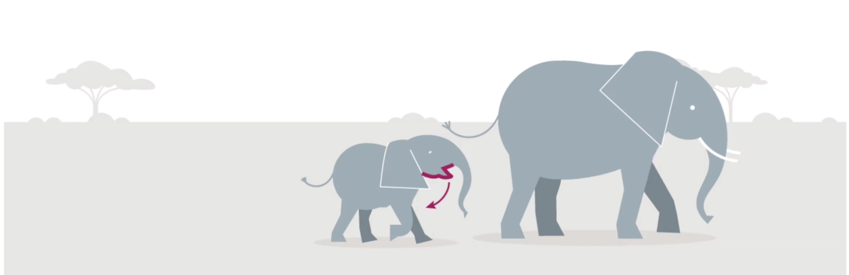 An illustration of a begging elephant calf following its mother.