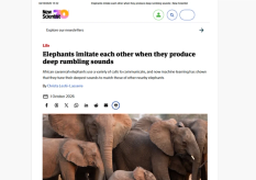 New Scientist article on elephants, featuring a photo of a herd.