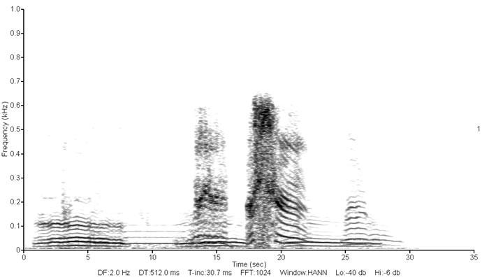 A black and white spectrogram showing five distinct sound events across 35 seconds. The first event is low frequency, followed by four denser, higher-frequency bursts, with the third and fifth being broad and modulated.