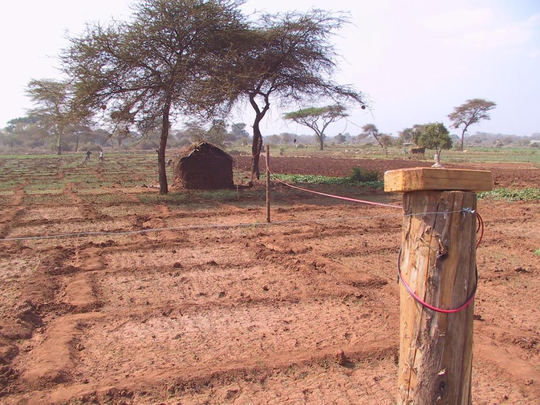 A wooden fence post with a red wire stands in a dry, tilled field with a small hut and scattered trees in the background.