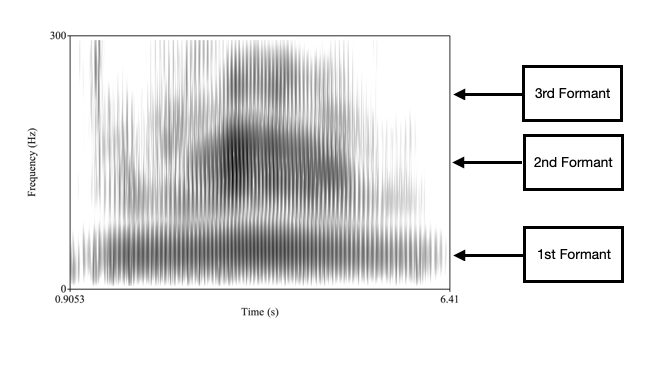 A grayscale spectrogram showing sound frequency over time, with three prominent horizontal bands labeled as 1st, 2nd, and 3rd Formant.