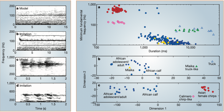 Graphs showing that elephants are capable of vocal learning