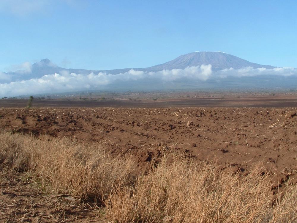 Plowed field with dry grass and distant snow-capped Mount Kilimanjaro and Mount Meru under a blue sky.