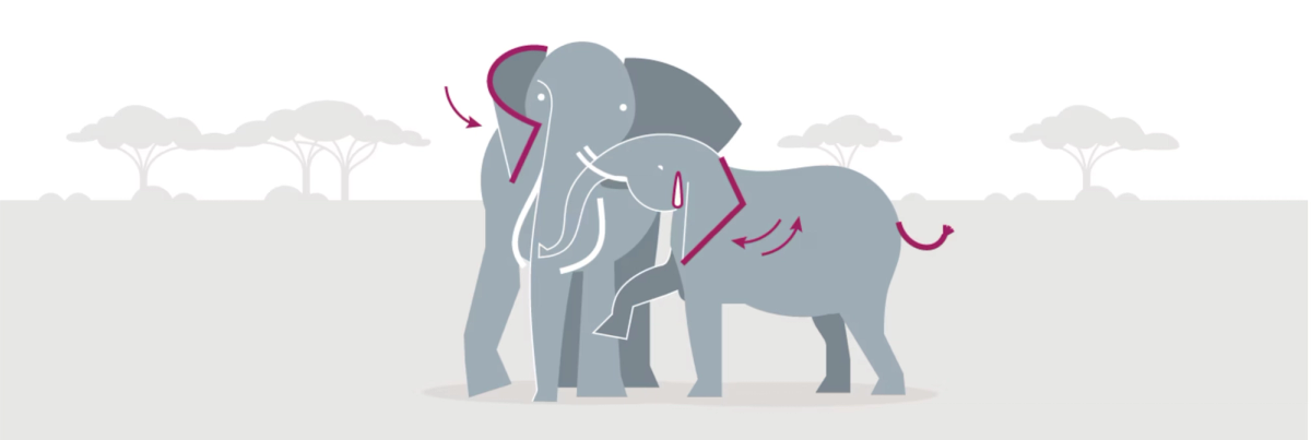 Illustration of elephants engaged in post-copulatory behavior in a savanna. 