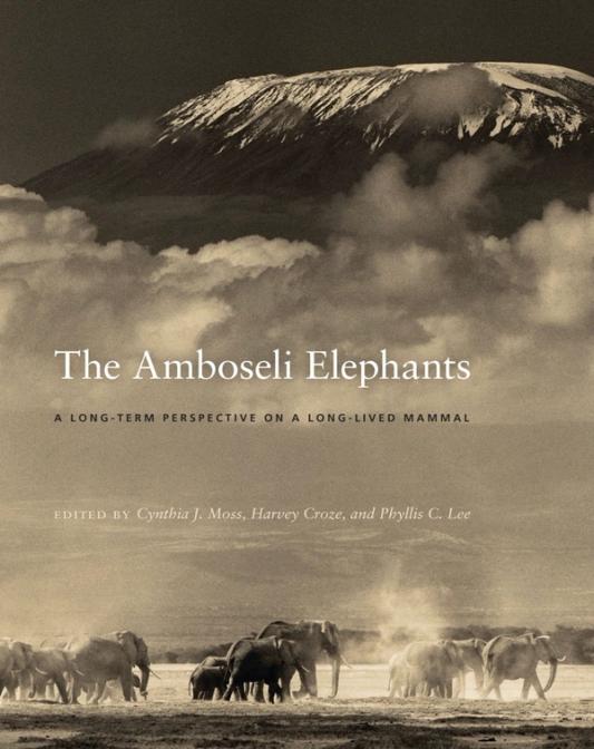 The Amboseli Elephants Book