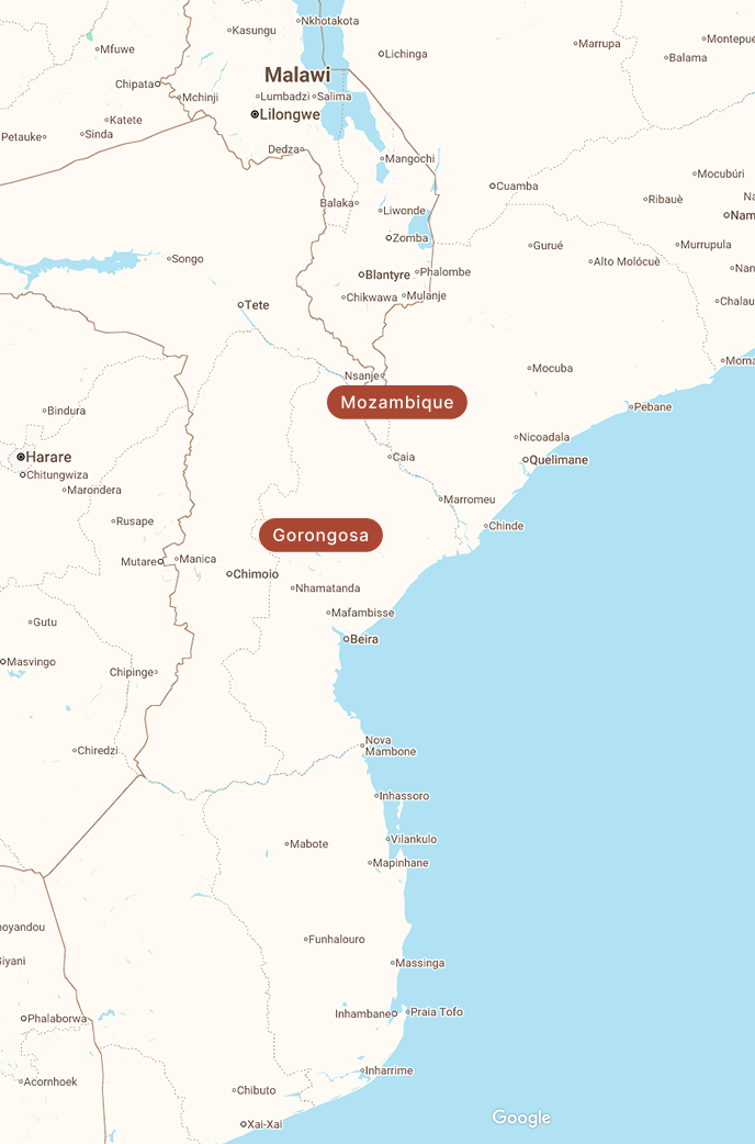 Map of Southern Africa highlighting Mozambique and Gorongosa National Park, bordered by Malawi and Zimbabwe.