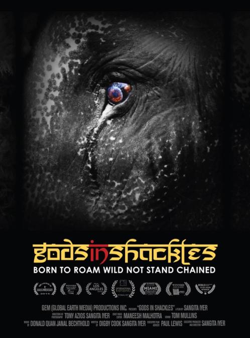 Elephants in Tourism