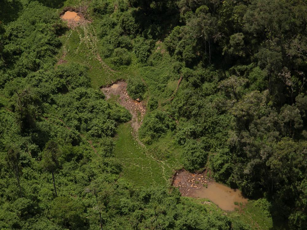 Aerial view of a winding disturbed track with muddy pools through a dense green forest.
