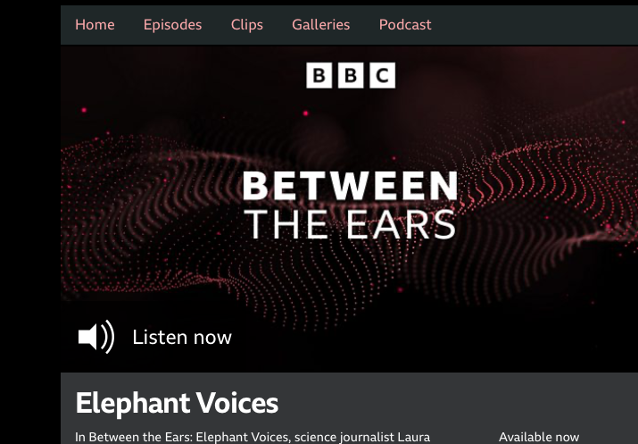 BBC 'Between The Ears' program page for 'Elephant Voices', with a listen button.