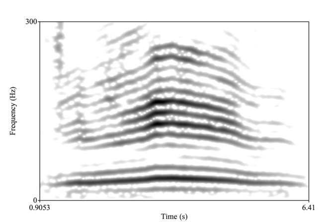 Discovering Infrasonic Communication in Elephants