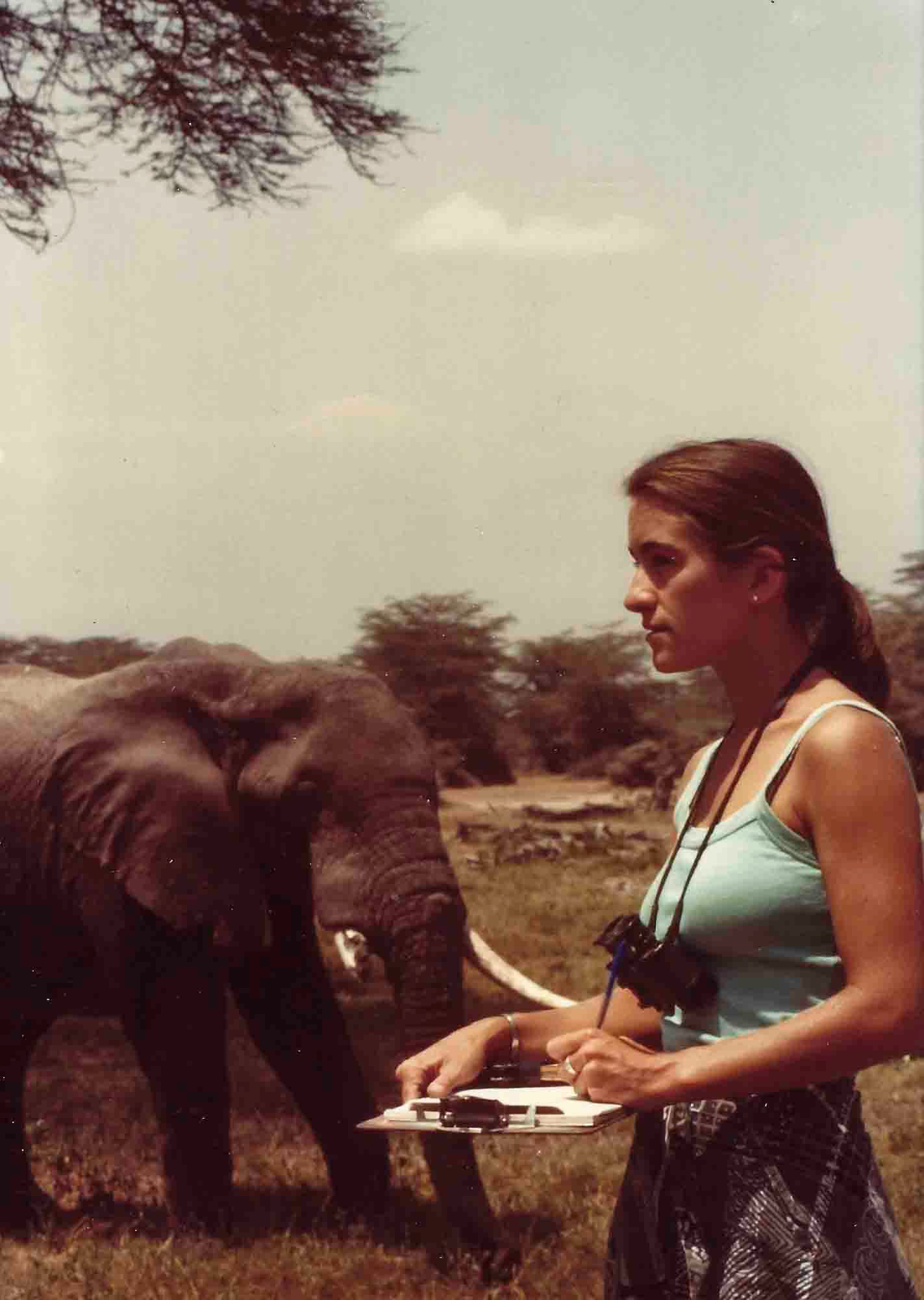 1978 Joyce Poole with elephant early fieldwork Amboseli 