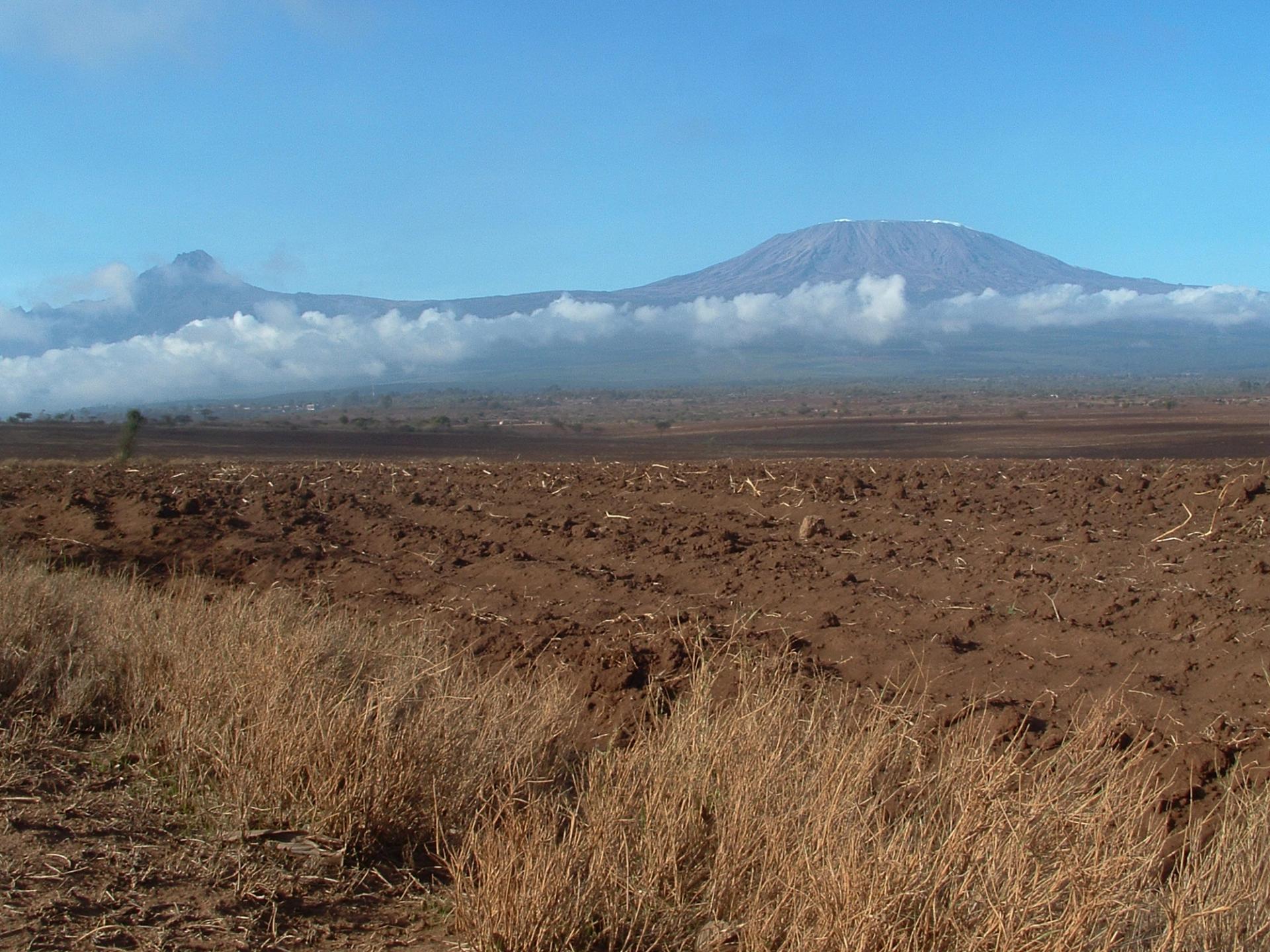 Plowed field and dry grass with snow-capped Mount Kilimanjaro and another mountain under a blue sky.