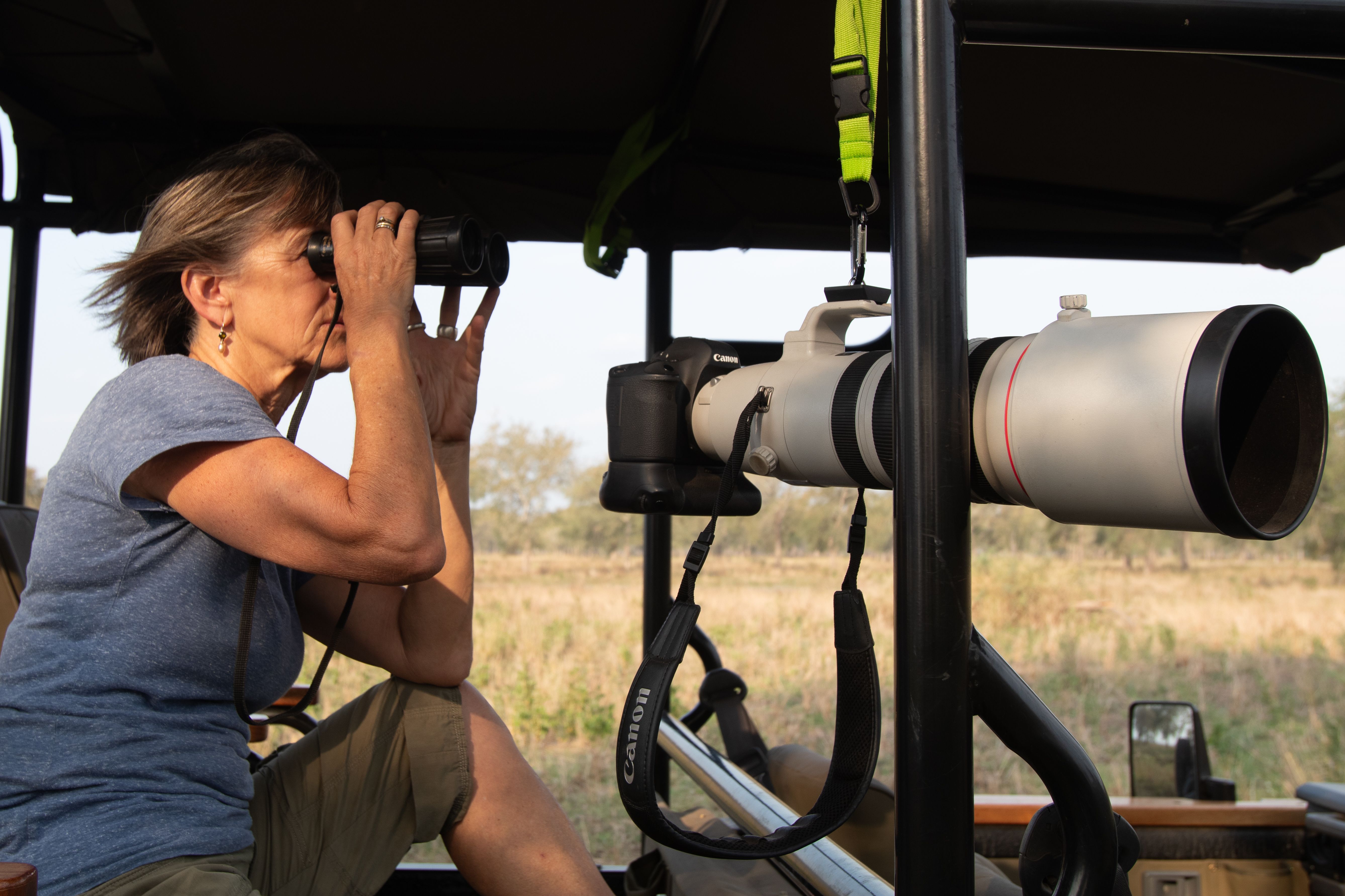 Documenting Elephants Through Images & Video