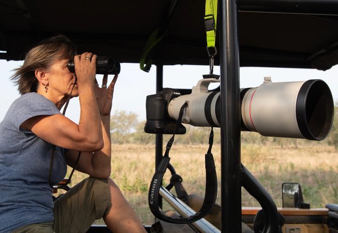 Documenting Elephants Through Images & Video