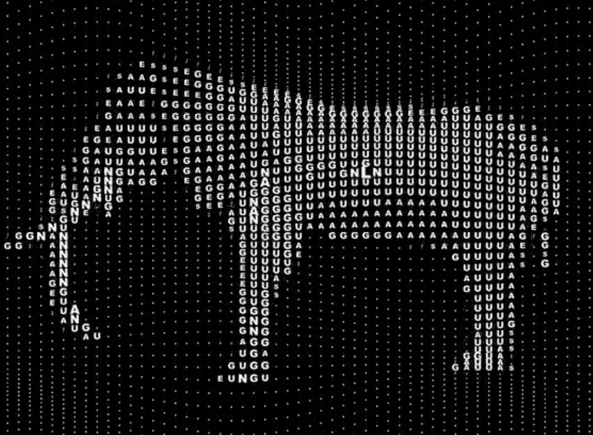 An elephant silhouette made of white genetic code letters (A, G, U) and dots on a black background.