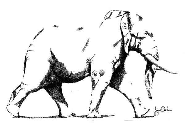 Black and white ink drawing of an elephant walking in profile.