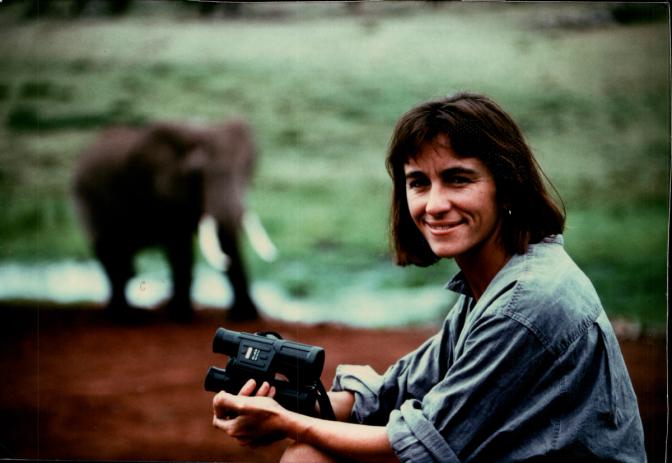 Discovering Musth in African Elephants