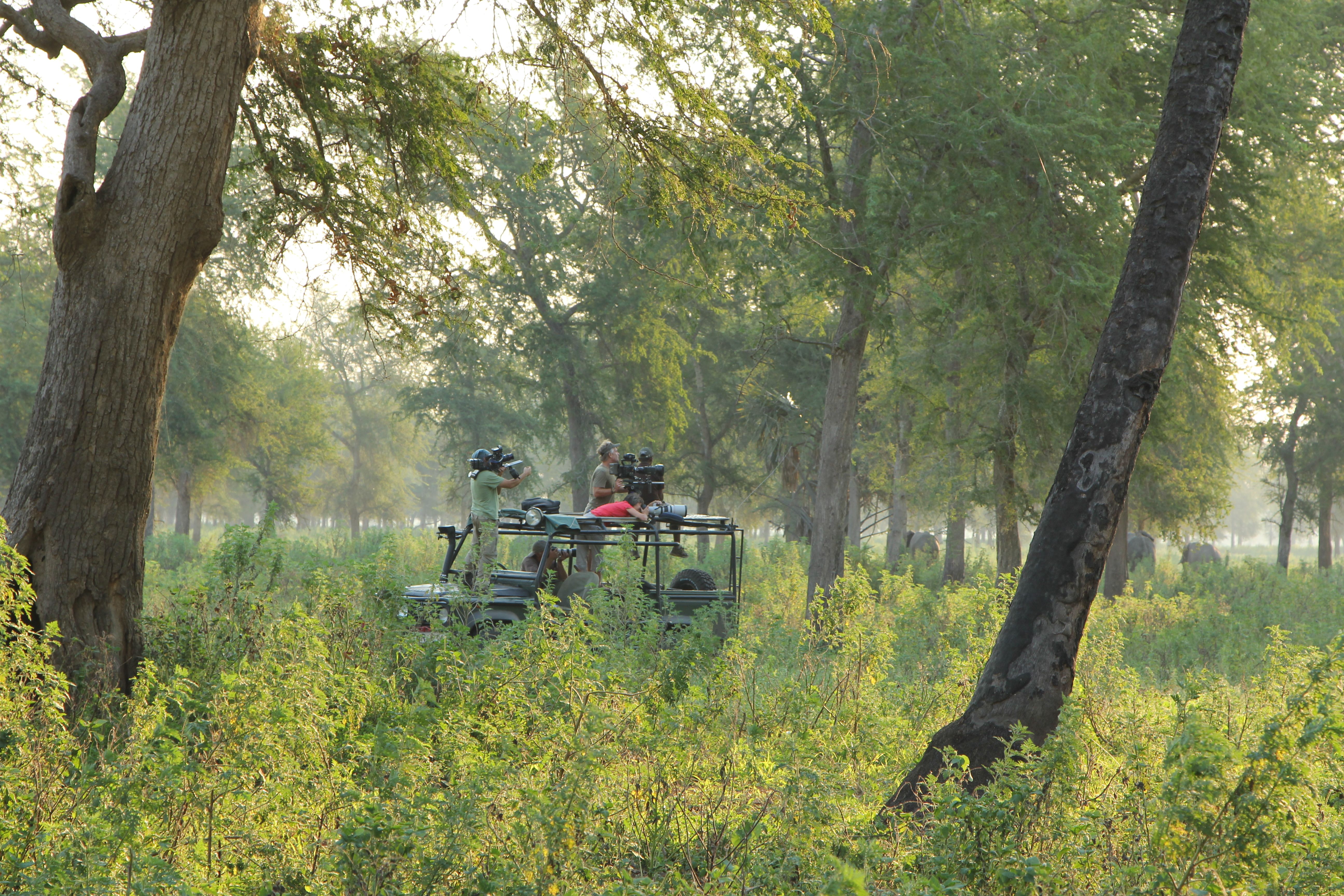 Two people on a safari vehicle, one filming, amidst lush green foliage with several elephants in the distance.