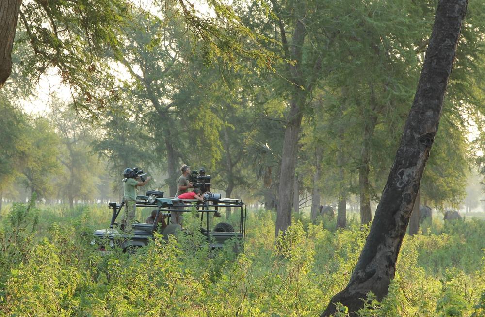 Two people on a safari vehicle, one filming, amidst lush green foliage with several elephants in the distance.