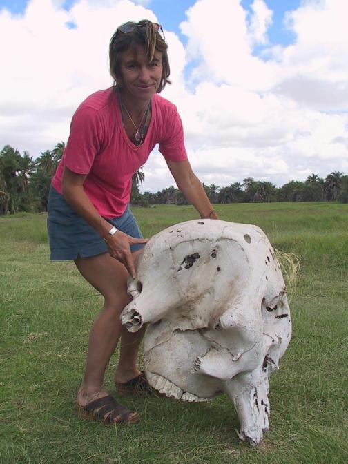 Size of the Elephant Brain