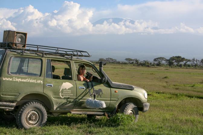 Recording the Voices of Elephants