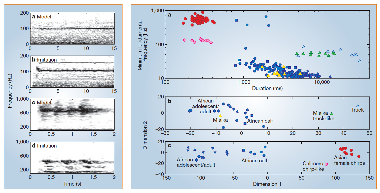 Discovering Vocal Imitation in Elephants