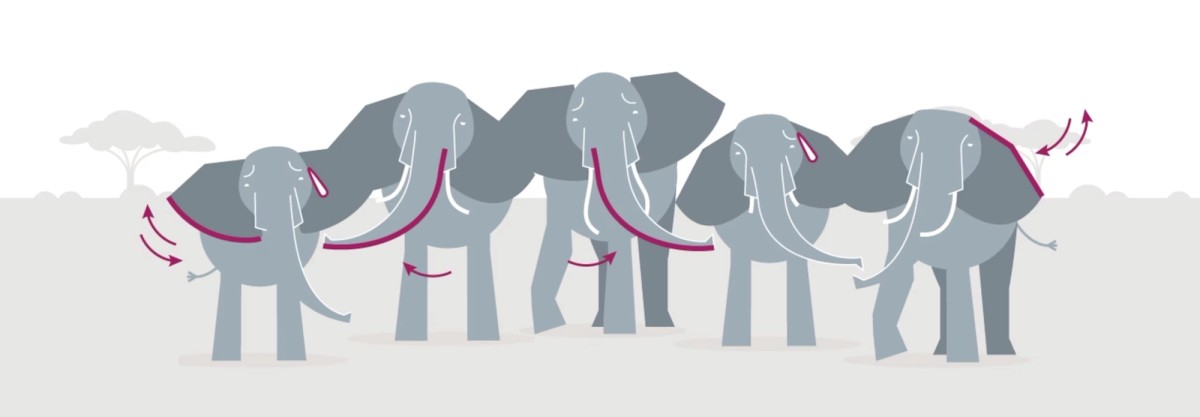 Illustration of five elephants with magenta arrows indicating ear, trunk, and tail movement.
