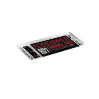 Foreigner Magnet Ticket