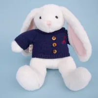Mei Mei the Bunny